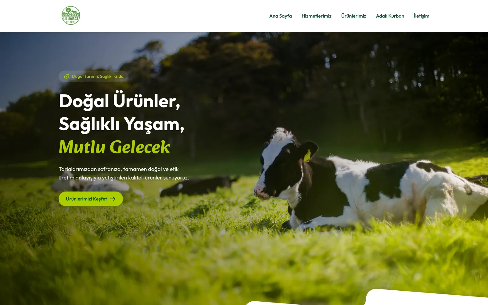 ULUABAT ÇİFTLİĞİ